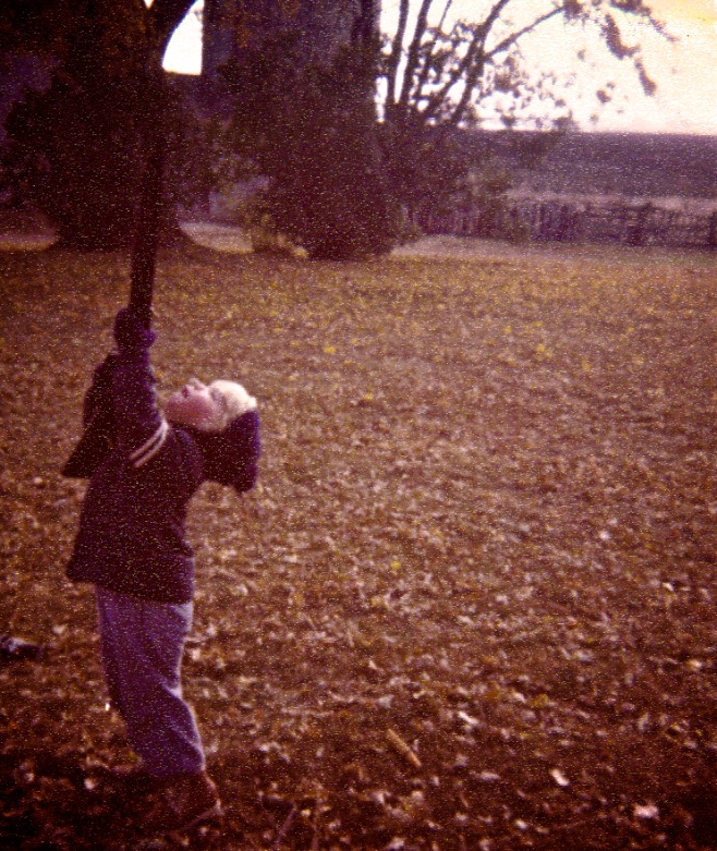 Pat the Hunter